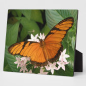 Orange Julia Butterfly Plaque Fotoplatte (Seite)