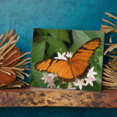 Orange Julia Butterfly Plaque Fotoplatte (Seite)