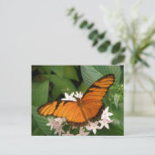 Orange Julia Butterfly Postcard Postkarte (Stehend Vorderseite)