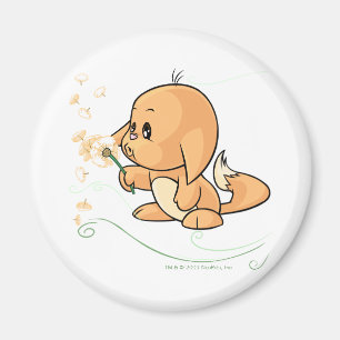 Orange Kacheek, das auf einem Löwenzahn wünscht Magnet