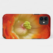 Orange Kaktus Blume iPhone Case (Rückseite (Horizontal))