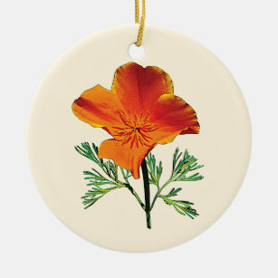 Orange Kalifornien-Mohnblume Keramikornament