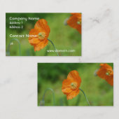 Orange Kalifornien-Mohnblume Visitenkarte (Vorne/Hinten)
