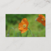 Orange Kalifornien-Mohnblume Visitenkarte (Rückseite)