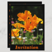 Orange Kalifornien-Mohnblumen Einladung (Vorne/Hinten)