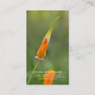 Orange Kalifornien-Mohnblumen-Knospe Visitenkarte
