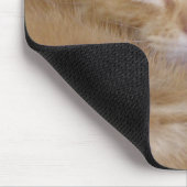 Orange Kätzchen Mousepad (Ecke)