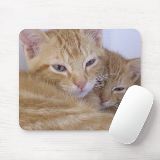 Orange Kätzchen Mousepad (Mit Mouse)
