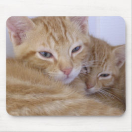 Orange Kätzchen Mousepad