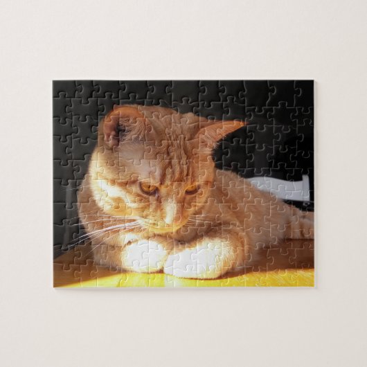 Orange Kätzchen-Puzzlespiel Puzzle (Horizontal)