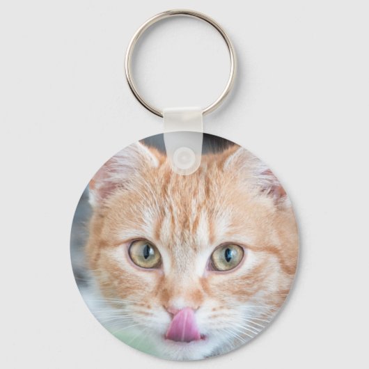 Orange-Kätzchen Schlüsselanhänger (Vorderseite)