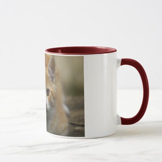 Orange Kätzchen-Tasse Tasse (Rechts)