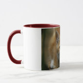 Orange Kätzchen-Tasse Tasse (Links)