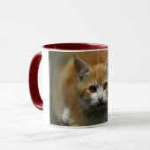 Orange Kätzchen-Tasse Tasse (Vorderseite Links)