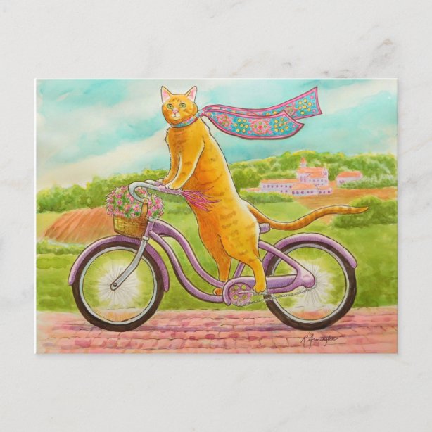 Fahrrad Katze Geschenke Zazzle.de