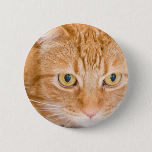 Orange Katze Button (Vorderseite)