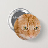 Orange Katze Button (Vorne & Hinten)