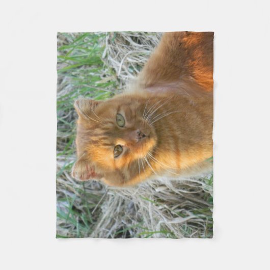 orange Katze Fleecedecke (Vorderseite)
