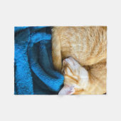 Orange Katze gekräuselt oben auf Decke (Vorderseite (Horizontal))