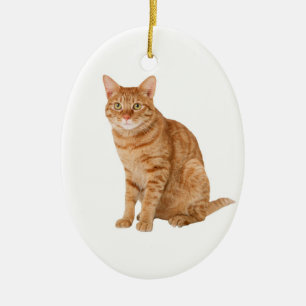 Orange Katze Keramik Ornament