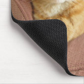 orange Katze Mousepad (Ecke)