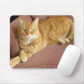 orange Katze Mousepad (Mit Mouse)