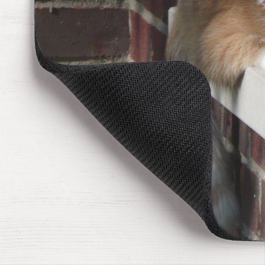 Orange Katze Mousepad (Ecke)