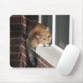 Orange Katze Mousepad (Mit Mouse)