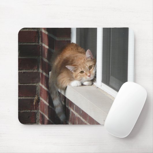 Orange Katze Mousepad (Mit Mouse)