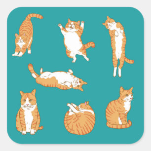 Orange Katzen lustig Quadratischer Aufkleber
