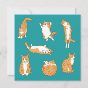 Orange Katzen Lustiger Geburtstag Karte