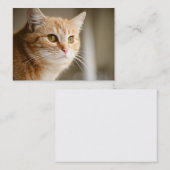 Orange Katzen-Visitenkarten Visitenkarte (Vorne/Hinten)