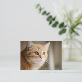 Orange Katzen-Visitenkarten Visitenkarte (Stehend Vorderseite)