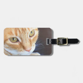 Orange Katzennahaufnahme Gepäckanhänger
