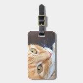 Orange Katzennahaufnahme Gepäckanhänger (Vorderseite vertikal)