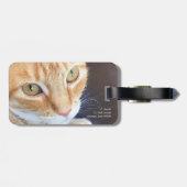 Orange Katzennahaufnahme Gepäckanhänger (Rückseite horizontal)