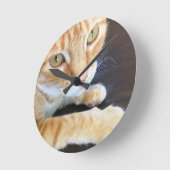Orange Katzennahaufnahme Runde Wanduhr (Winkel)
