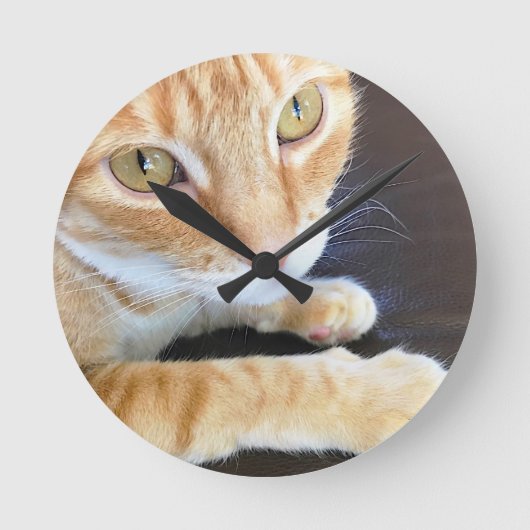 Orange Katzennahaufnahme Runde Wanduhr (Vorderseite)