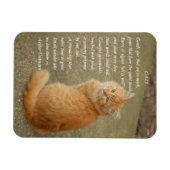 Orange Kitten Foto mit Gedicht Magnet (Horizontal)