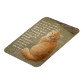 Orange Kitten Foto mit Gedicht Magnet (Linke Seite)