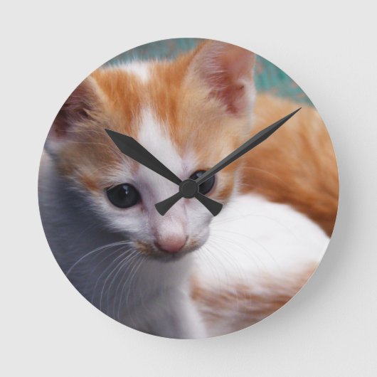Orange Kitten Fotograf Runde Wanduhr (Vorderseite)