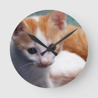 Orange Kitten Fotograf Runde Wanduhr