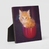 Orange Kitten in roter Tasse Fotoplatte (Vorderseite)
