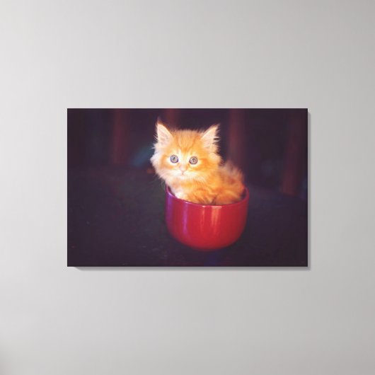 Orange Kitten in roter Tasse Leinwanddruck (Vorderseite)
