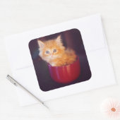 Orange Kitten in roter Tasse Quadratischer Aufkleber (Umschlag)