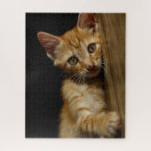 Orange Kitten Jigsaw Puzzle (Vertikal)