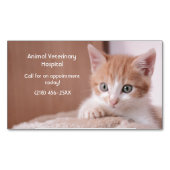 Orange Kitten Pet Care Magnetische Visitenkarte (Vorderseite)