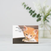 Orange Kitten Pet Care Termin Visitenkarte (Stehend Vorderseite)