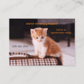 Orange Kitten Pet Care Termin Visitenkarte (Vorderseite)