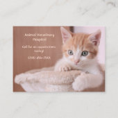 Orange Kitten Pet Care Termin Visitenkarte (Vorderseite)
